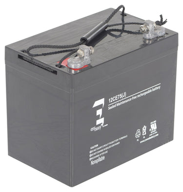 AGM BATTERY (2) 12V